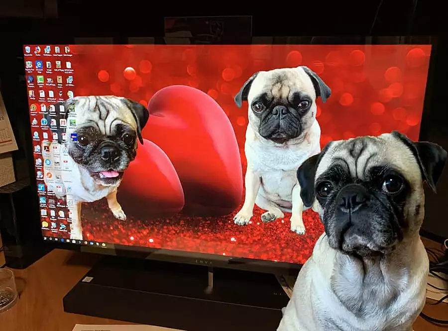 Get my wallpaper