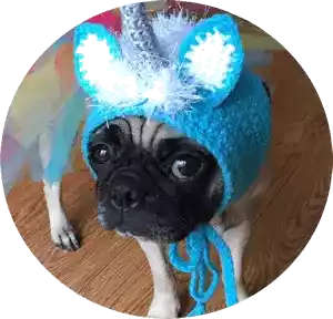 Maisy and daisy youtube